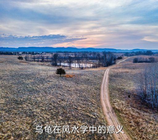 乌龟在风水学中的意义