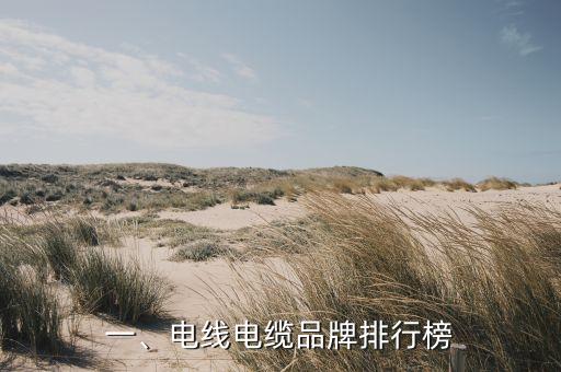 一、电线电缆品牌排行榜