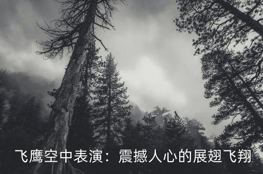 飞鹰空中表演:震撼人心的展翅飞翔