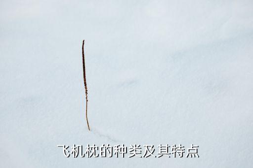 飞机枕的种类及其特点