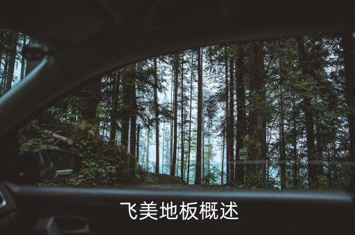 飞美地板概述