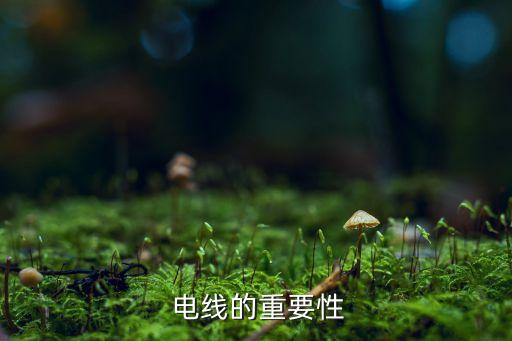电线的重要性