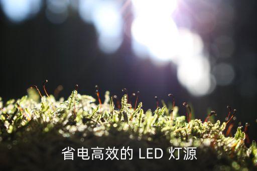 省电高效的 LED 灯源