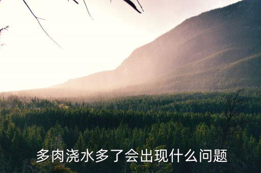 多肉浇水多了会出现什么问题