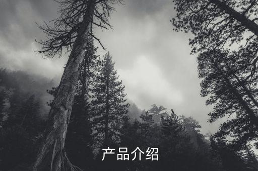 产品介绍