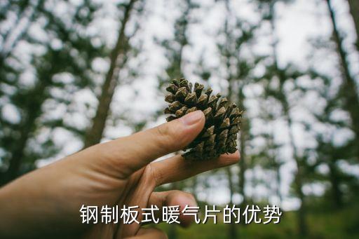 钢制板式暖气片的优势