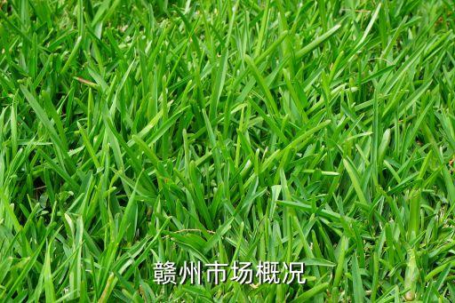 赣州市场概况