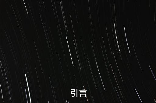 引言