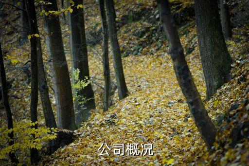 公司概况