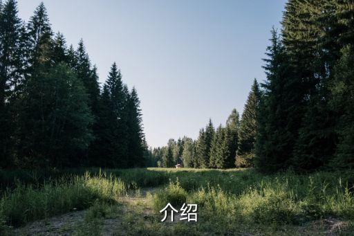 介绍