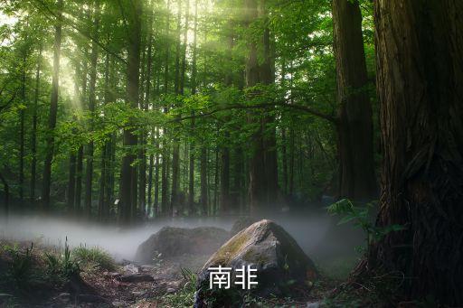 南非
