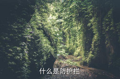 什么是防护拦