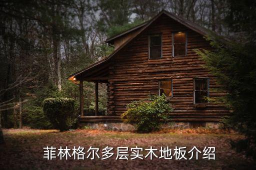 菲林格尔多层实木地板介绍