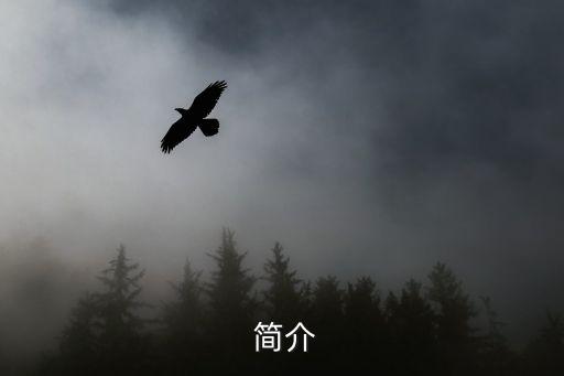 简介