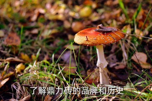 了解鼎力砖的品牌和历史