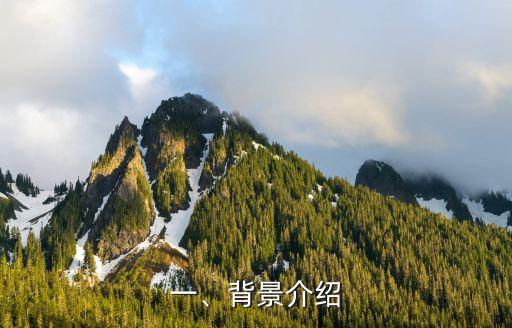 一、背景介绍