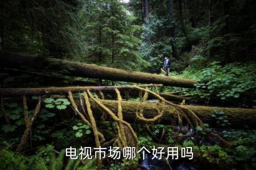电视市场哪个好用吗