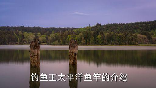 钓鱼王太平洋鱼竿的介绍