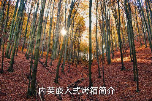 内芙嵌入式烤箱简介