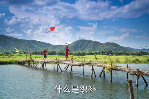 什么是织补