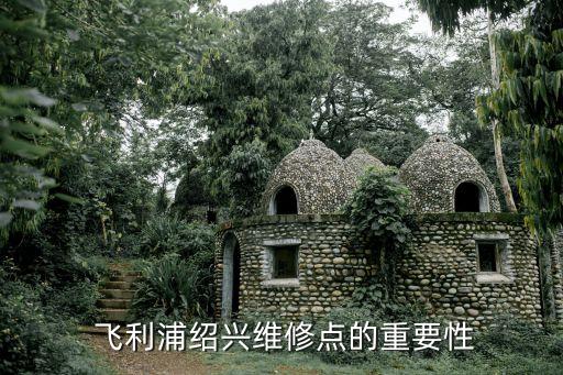 飞利浦绍兴维修点的重要性