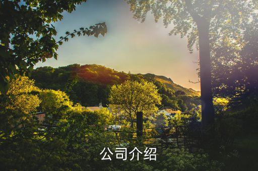 公司介绍