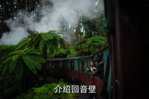 介绍回音壁
