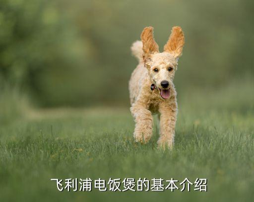 飞利浦电饭煲的基本介绍