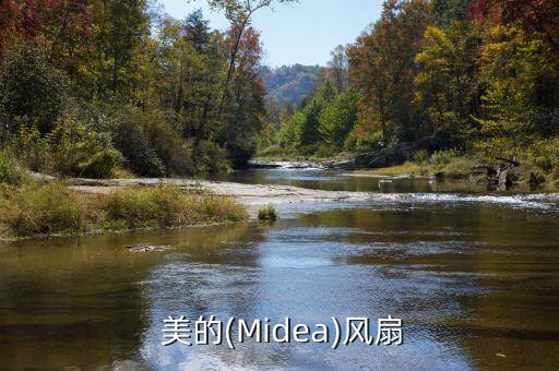 美的(Midea)风扇