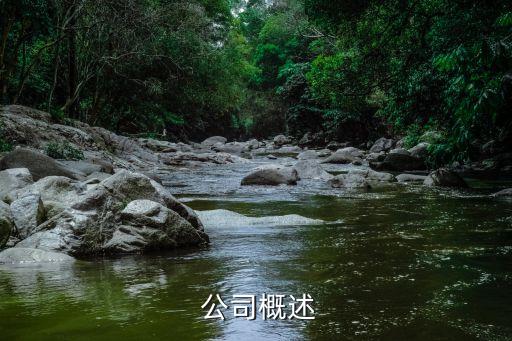 公司概述