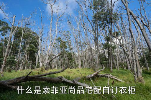 什么是索菲亚尚品宅配自订衣柜