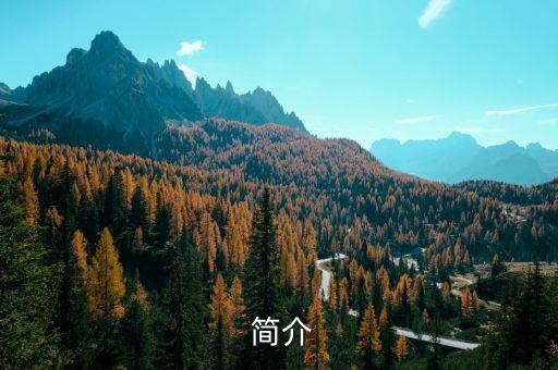 简介