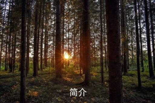 简介