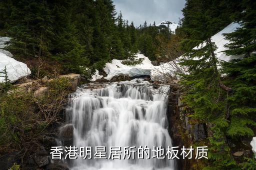 香港明星居所的地板材质