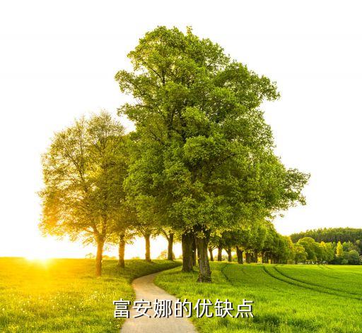 富安娜的优缺点