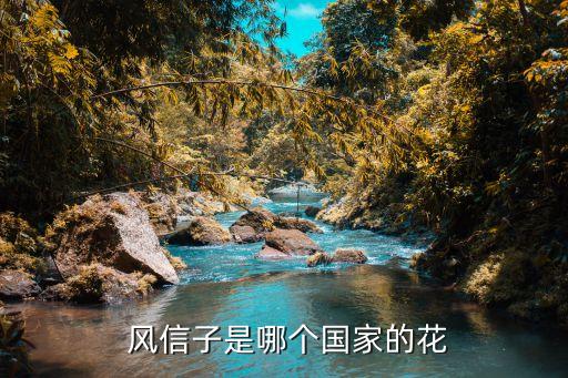风信子是哪个国家的花