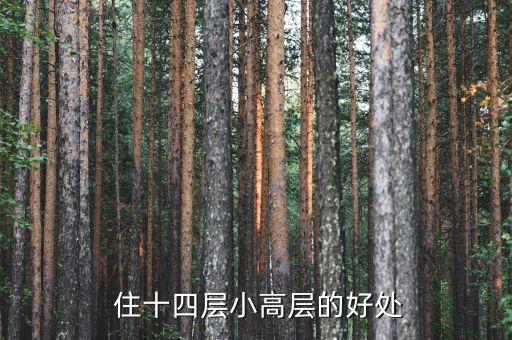 住十四层小高层的好处