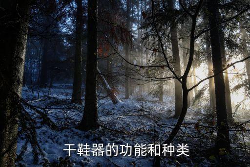 干鞋器的功能和种类