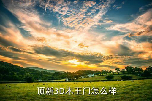 顶新3D木王门怎么样