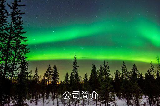 公司简介