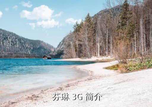 芬琳 3G 简介