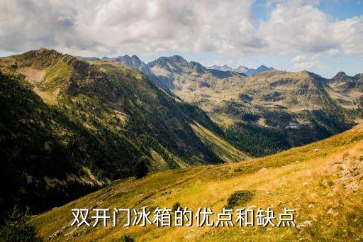 双开门冰箱的优点和缺点