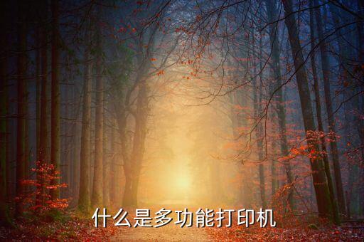 什么是多功能打印机