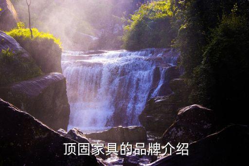 顶固家具的品牌介绍