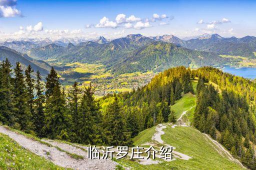 临沂罗庄介绍