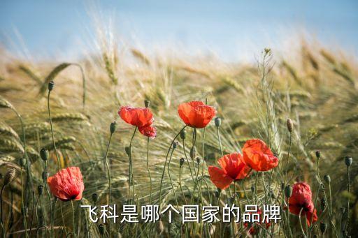 飞科是哪个国家的品牌