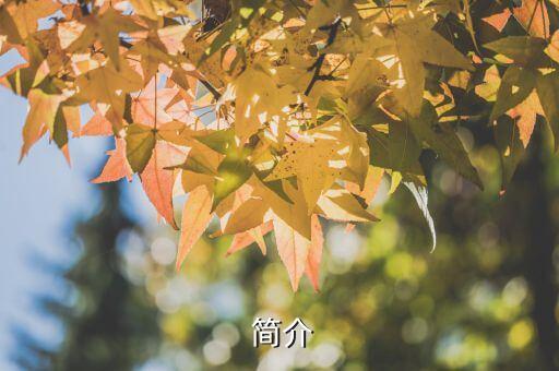 简介