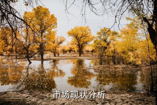 市场现状分析