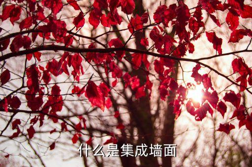 什么是集成墙面
