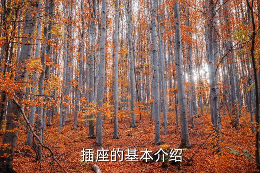 插座的基本介绍